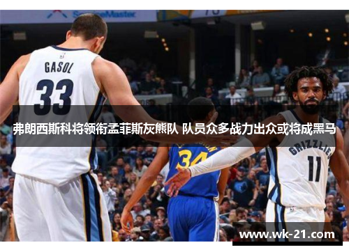 弗朗西斯科将领衔孟菲斯灰熊队 队员众多战力出众或将成黑马